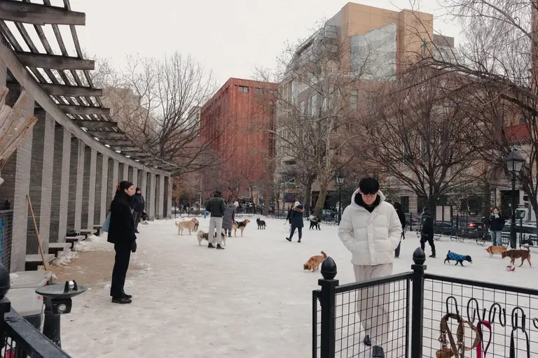New York dog park