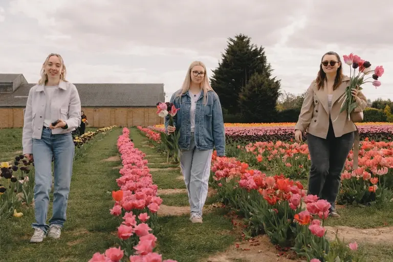 Abbie, Beth and Jess walking through tulip fields with their picked tulips at Scott's of Southend