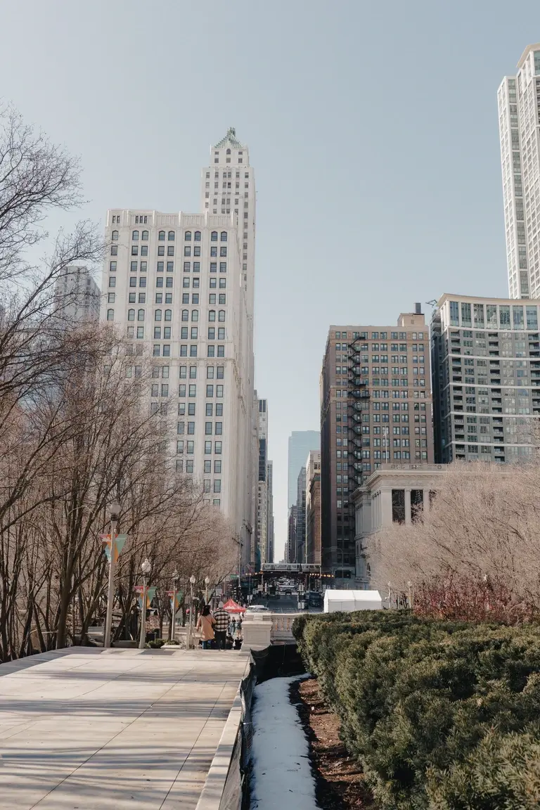 View of downtown Chicago from the park