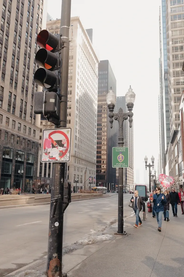 View of downtown Chicago