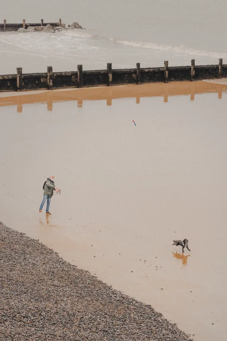Man playing with his dog on North Norfolk beach