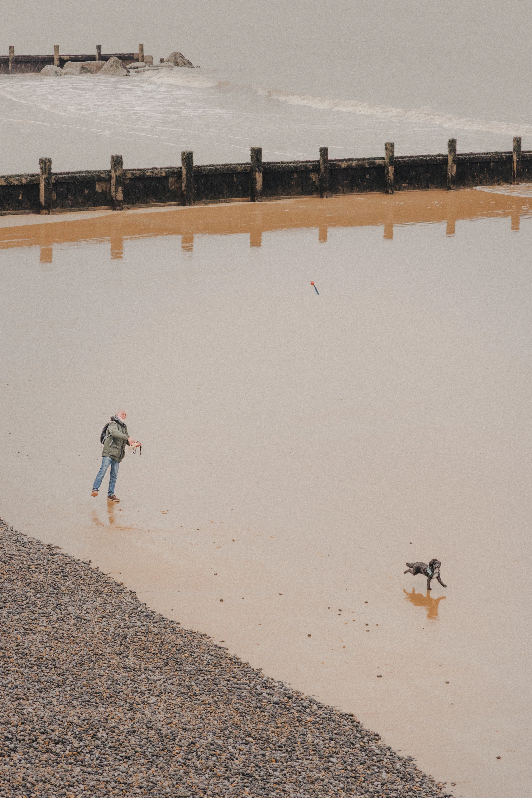 Man playing with his dog on North Norfolk beach