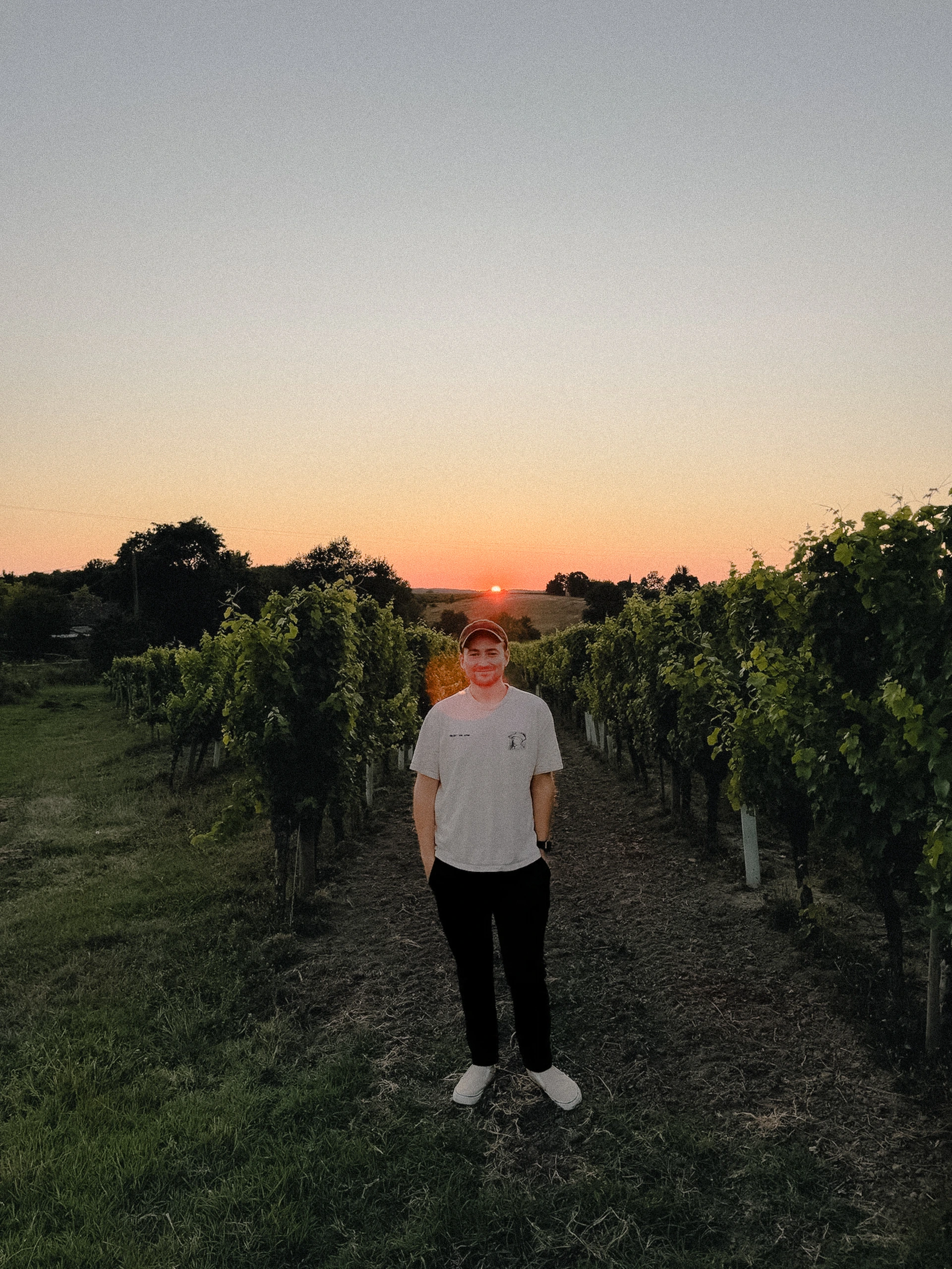 joseph in vineyard